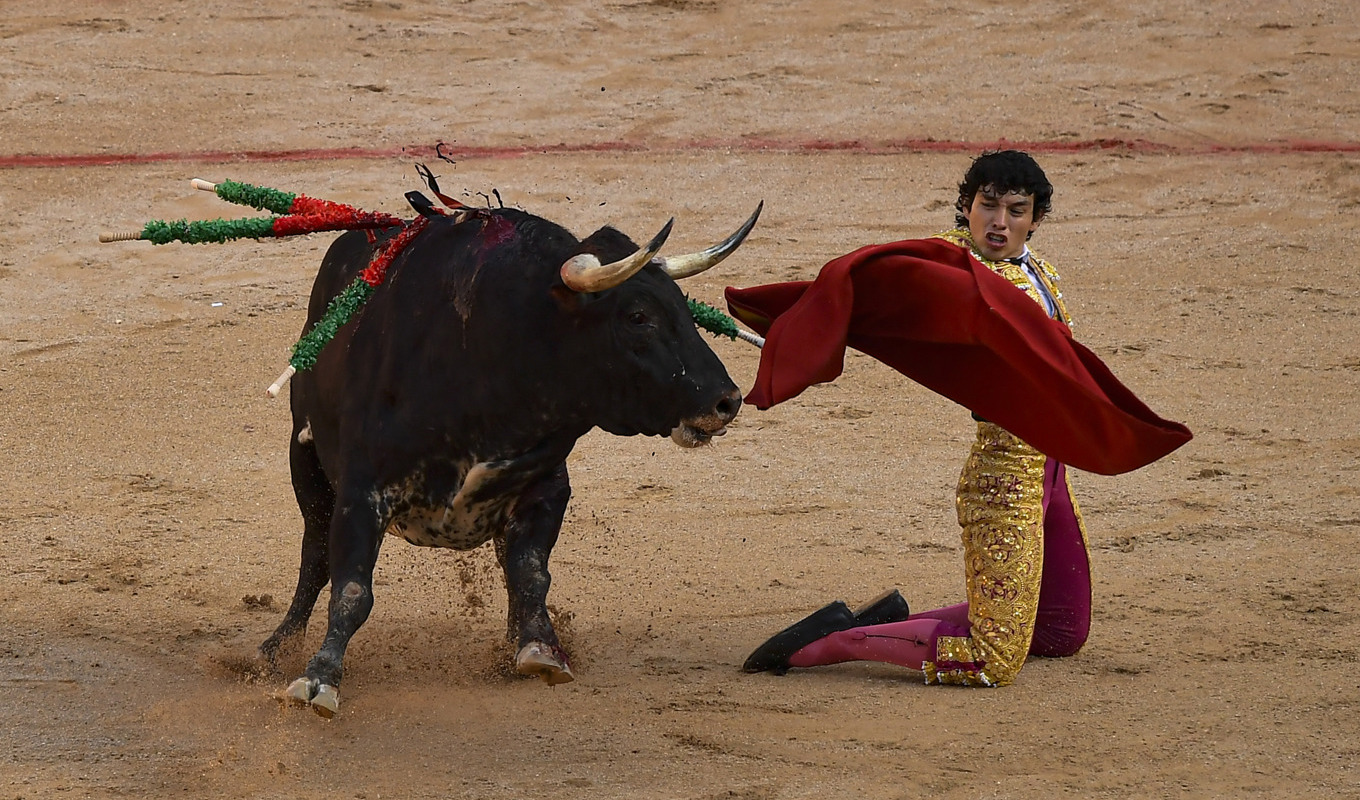 Tjurfäktning under San Fermín-festivalen i Pamplona i år. Arkivbild. Foto: Alvaro Barrientos/AP/TT