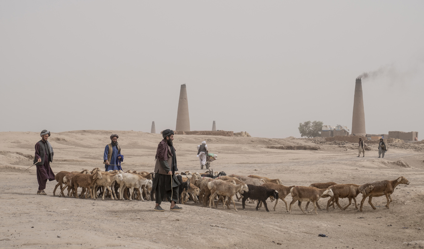 Bild från utkanten av staden Herat tidigare i år. Foto: Ebrahim Noroozi/AP/TT
