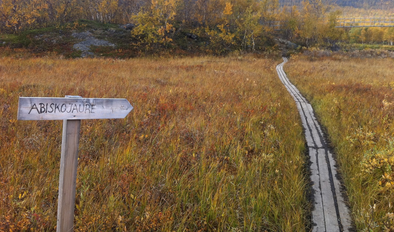 Norra delen av Kungsleden i närheten av Abisko. På sikt kan populära leder som Kungsleden behöva stänga när underhållet blir alltför eftersatt. Arkivbild. Foto: Cara Anna/AP/TT
