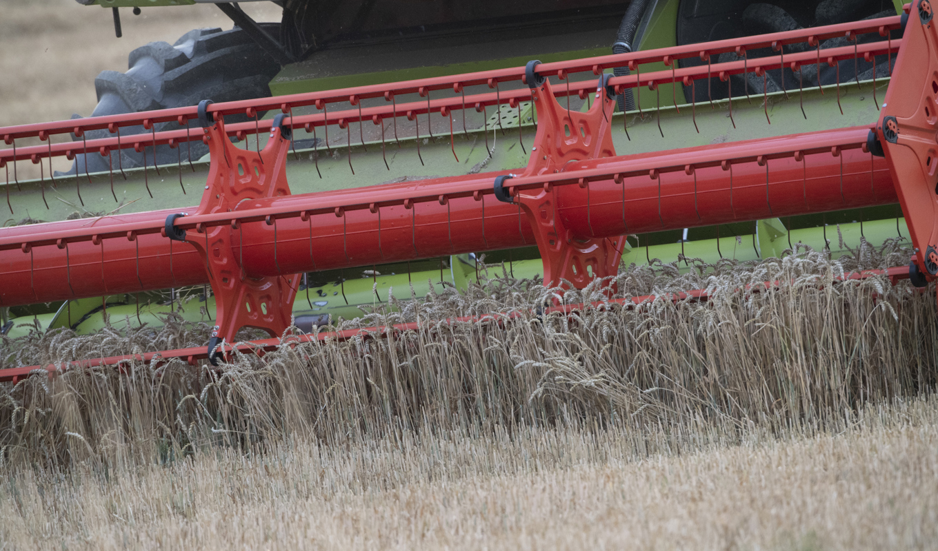 En polis misstänks för tjänstefel efter att ha dragit sitt tjänstevapen mot två lantbrukare. Arkivbild. Foto: Fredrik Sandberg/TT