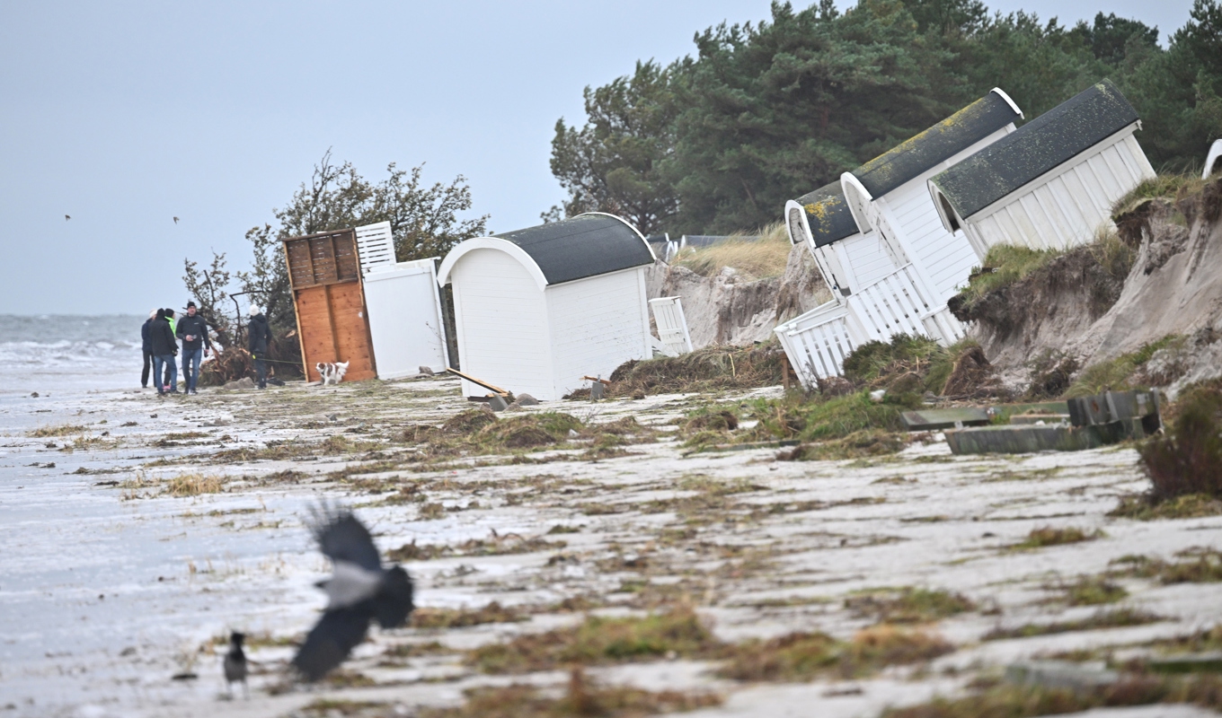 Flera badhytter ligger på lördagen välta, skadade och krossade i Ljunghusen efter stormen Babet. Foto: Johan Nilsson/TT