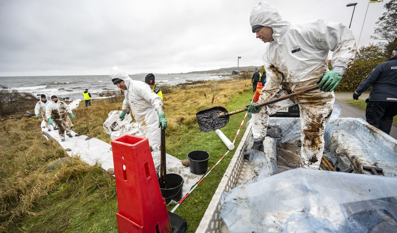 Saneringsarbetet fortsätter under lördagen längs Blekingekusten där Kustbevakningen, Sölvesborgs kommun och länsstyrelsen fått hjälp av Hemvärnet. Bild från den 26 oktober. Foto: Johan Nilsson/TT