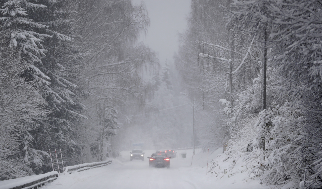 Snöoväder väntar Norrlandskusten under helgen. Foto: Mats Andersson/TT