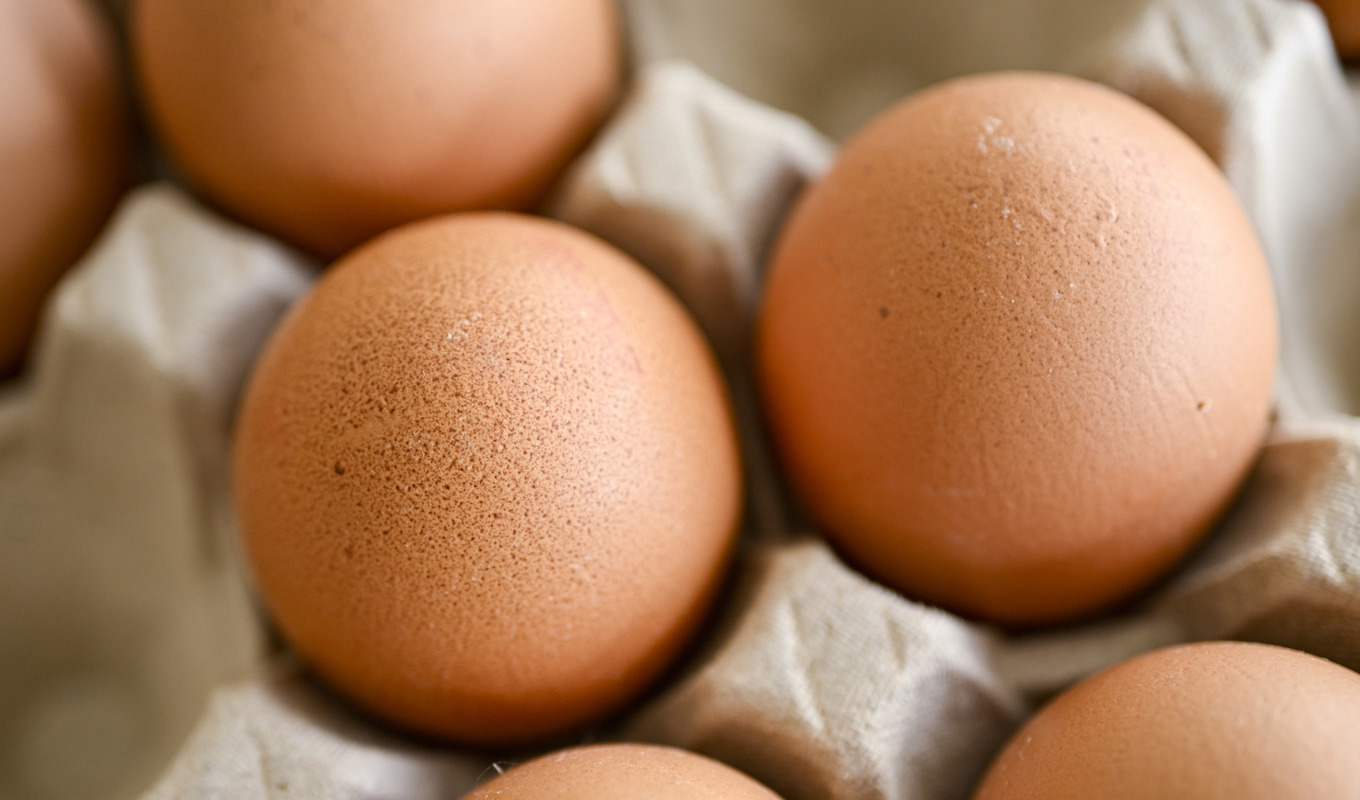 Återkallelsen är en försiktighetsåtgärd, enligt Kronägg. Arkivbild. Foto: Johan Nilsson/TT