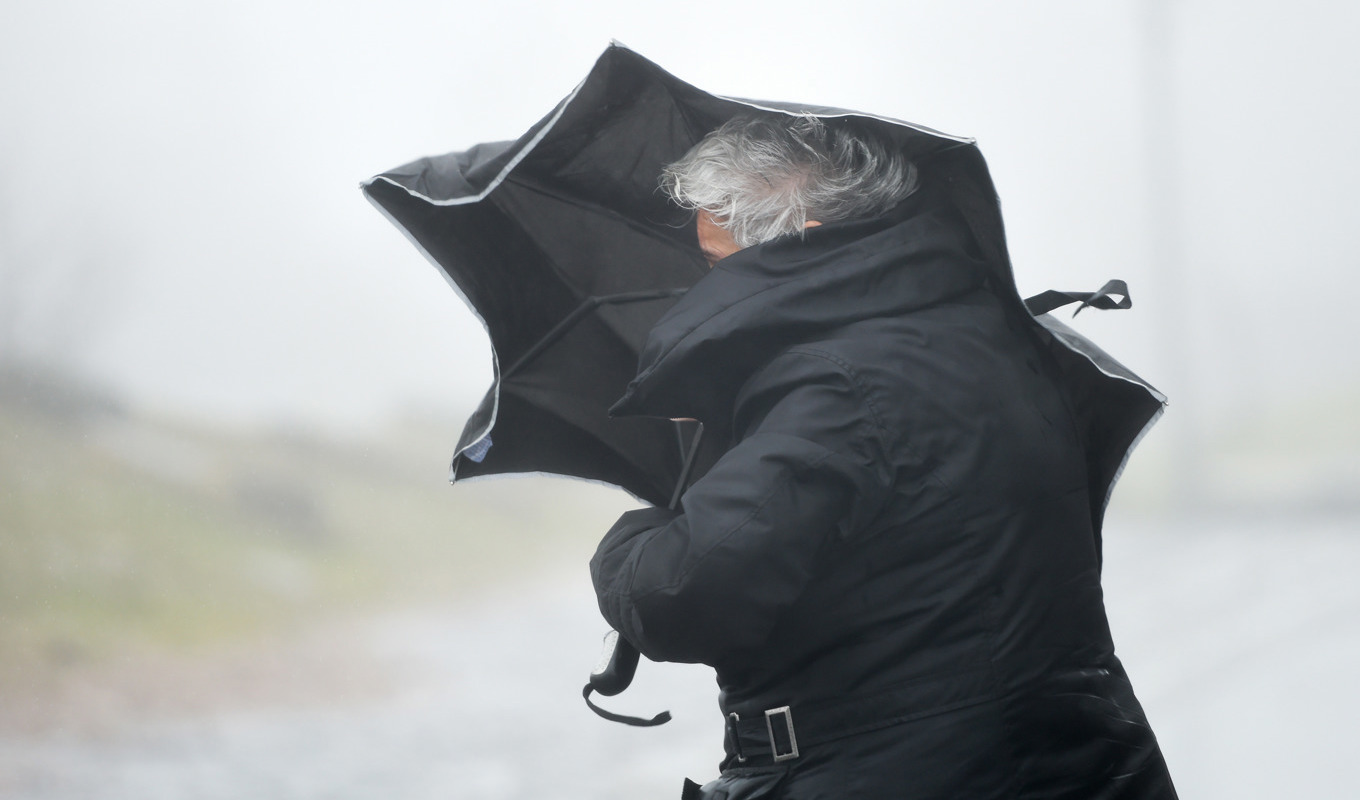Det blir blåsigt i landets sydligaste delar under söndagen. Arkivbild. Foto: Arne Dedert/AP/TT