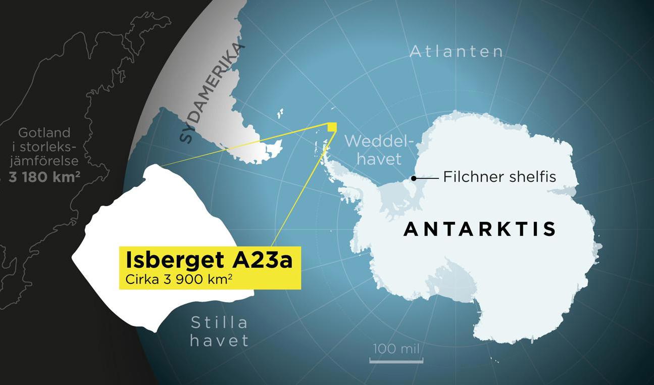 Världens största isberg är på drift från Antarktis. Foto: Johan Hallnäs
