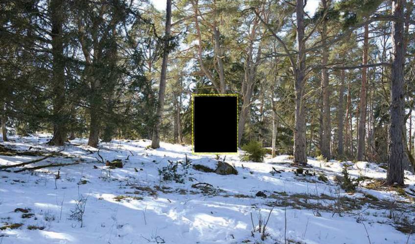 Här, på en höjd i en skog i Hjälstavikens naturreservat, hittades det 26-årige offret hängd i ett träd. Bild ur polisens förundersökning. Arkivbild. Foto: Polisen