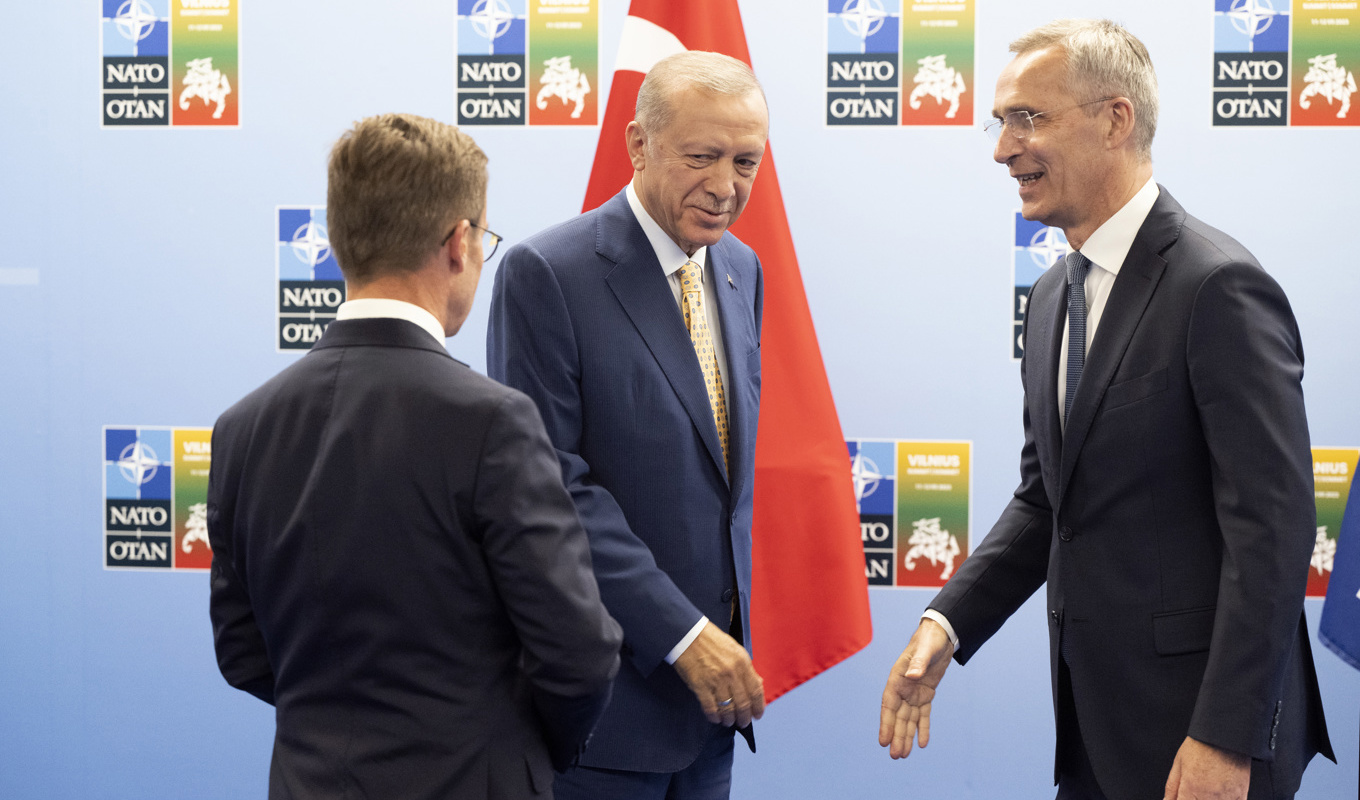 Turkiets president Recep Tayyip Erdogan vid ett tidigare möte med Natos generalsekreterare Jens Stoltenberg och Sveriges statsminister Ulf Kristersson (M) med ryggen mot kameran. Arkivbild. Foto: Henrik Montgomery/TT