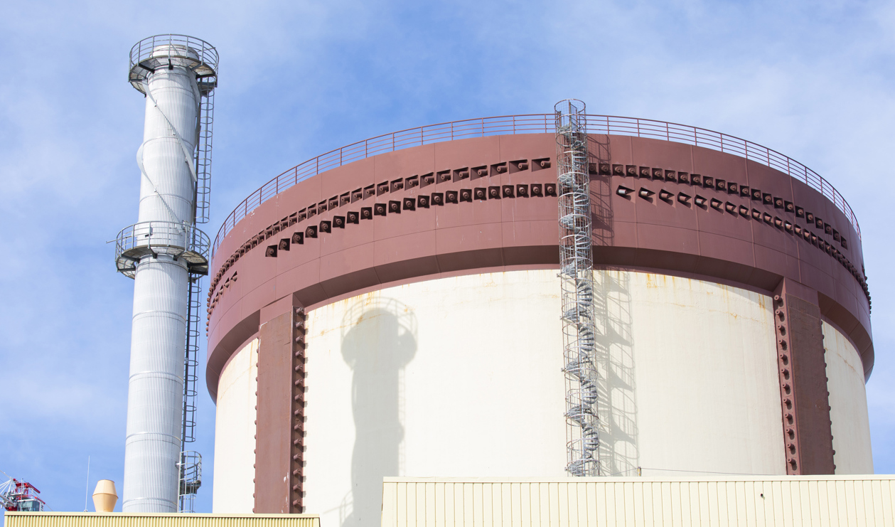 Ringhals 4 ligger nere sedan natten till onsdag. Arkivbild. Foto: Annika Örnborg/Ringhals/TT