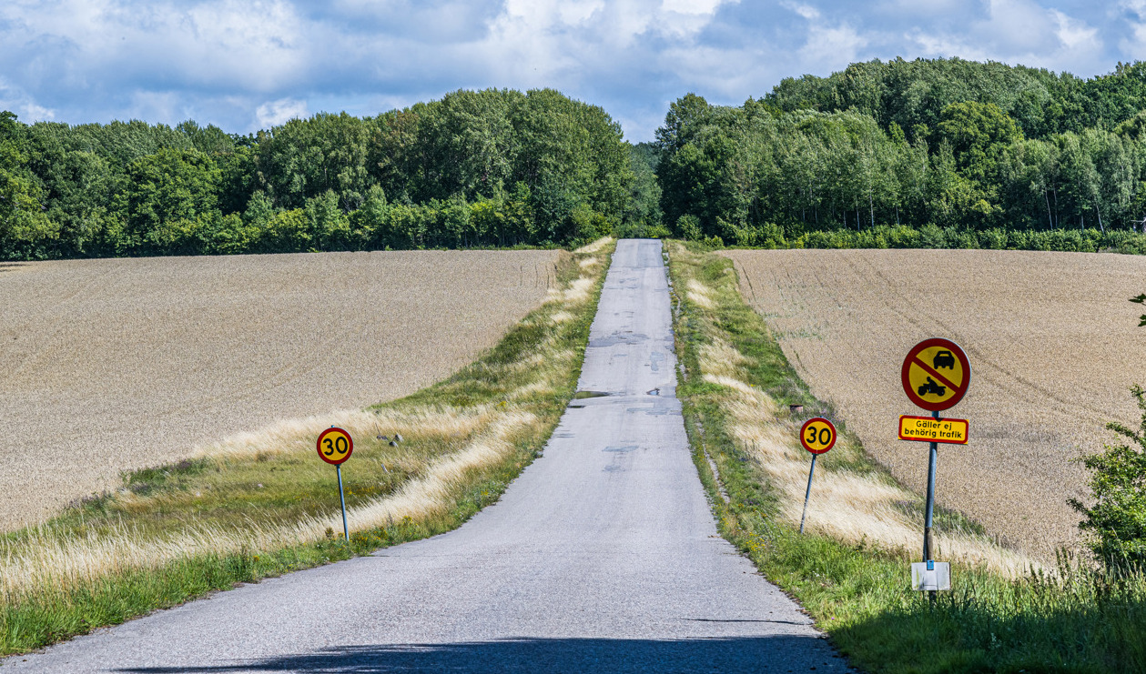 I en skogsdunge i närheten av den här vägen nära Ösmo i Nynäshamns kommun söder om Stockholm hittades en 14-årig pojke mördad den 29 juli. Några veckor senare hittades ytterligare en 14-årig mördad i ett skogsparti norr om Stockholm. Arkivbild. Foto: Magnus Lejhall/TT