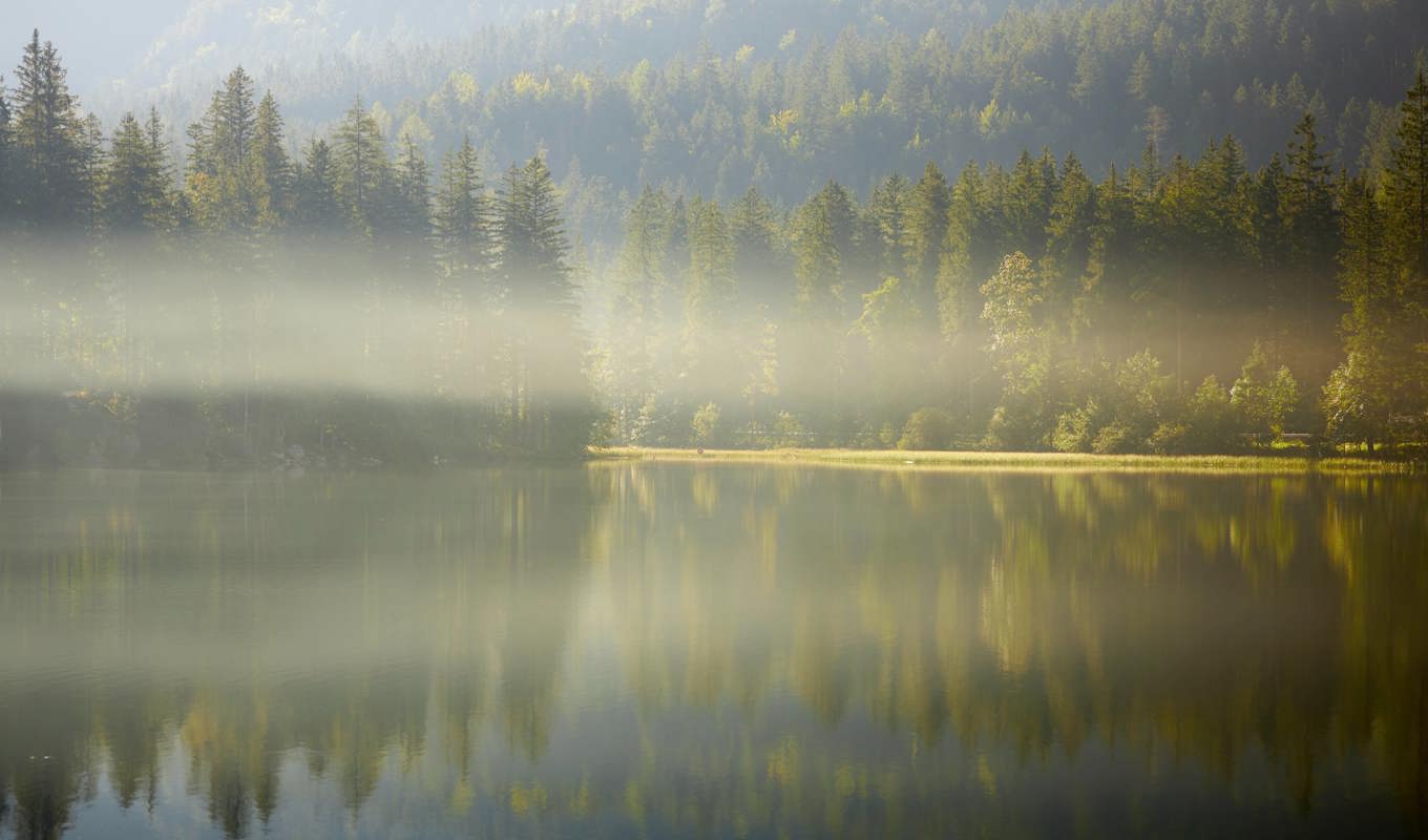 Att bara höra naturens ljud är vilsamt för hjärnan. Foto: Finn Semmar