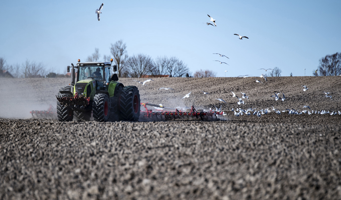 En stor del av ammoniakutsläppen kommer från jordbruket där det bland annat används i konstgödsel. Arkivbild. Foto: Johan Nilsson/TT