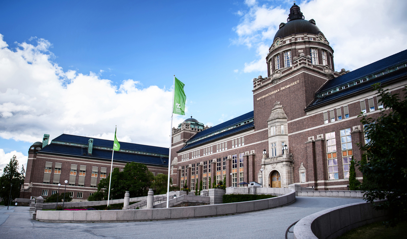 Naturhistoriska riksmuseet i Stockholm håller stängt på grund av problem med innertaket. Arkivbild. Foto: Erik Simander/TT