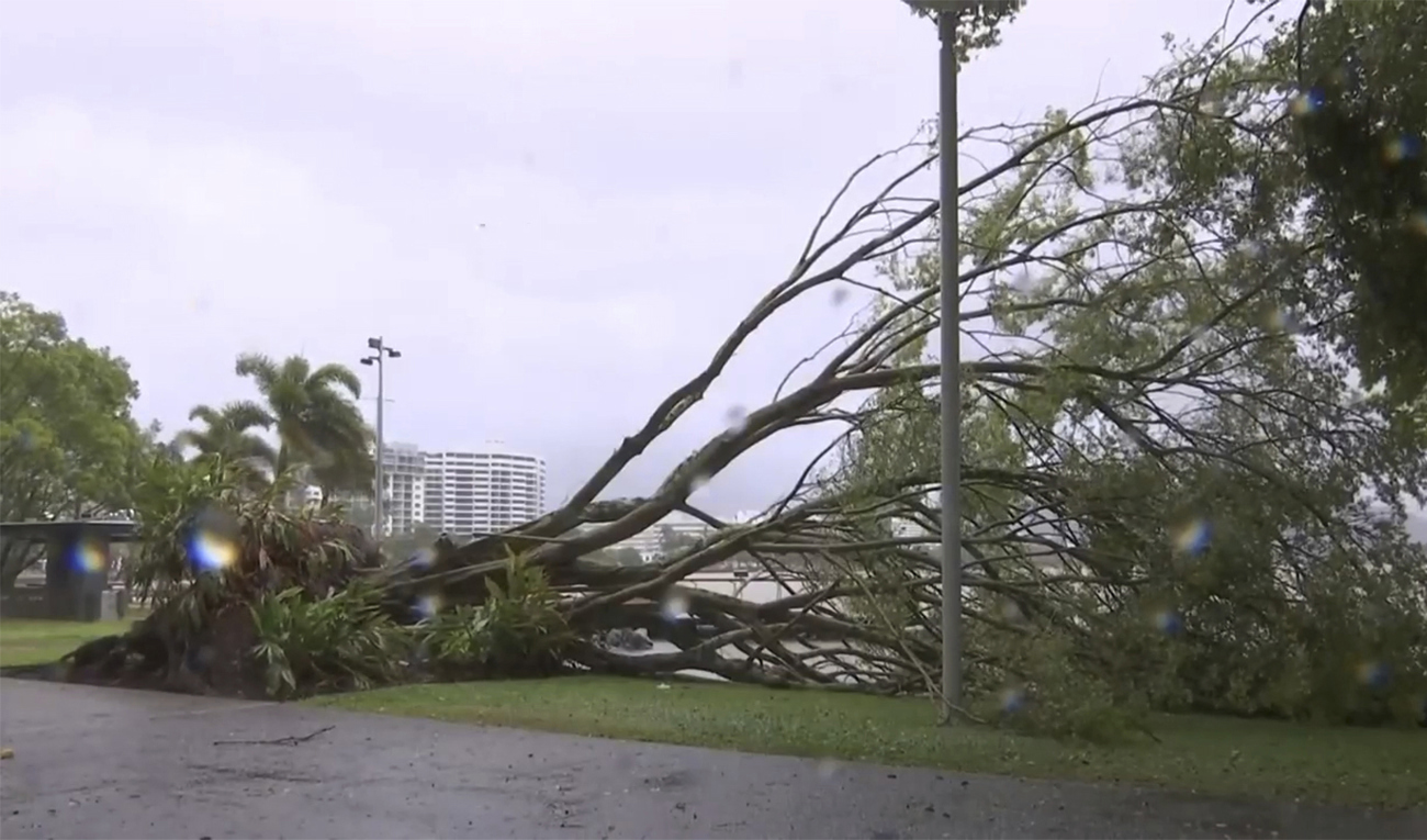 Bilden visar ett nedblåst träd i turiststaden turiststaden Cairns, som härjades av cyklonen Jasper. Foto är taget 13 december. Foto: Australian Broadcasting Corporation via AP/TT