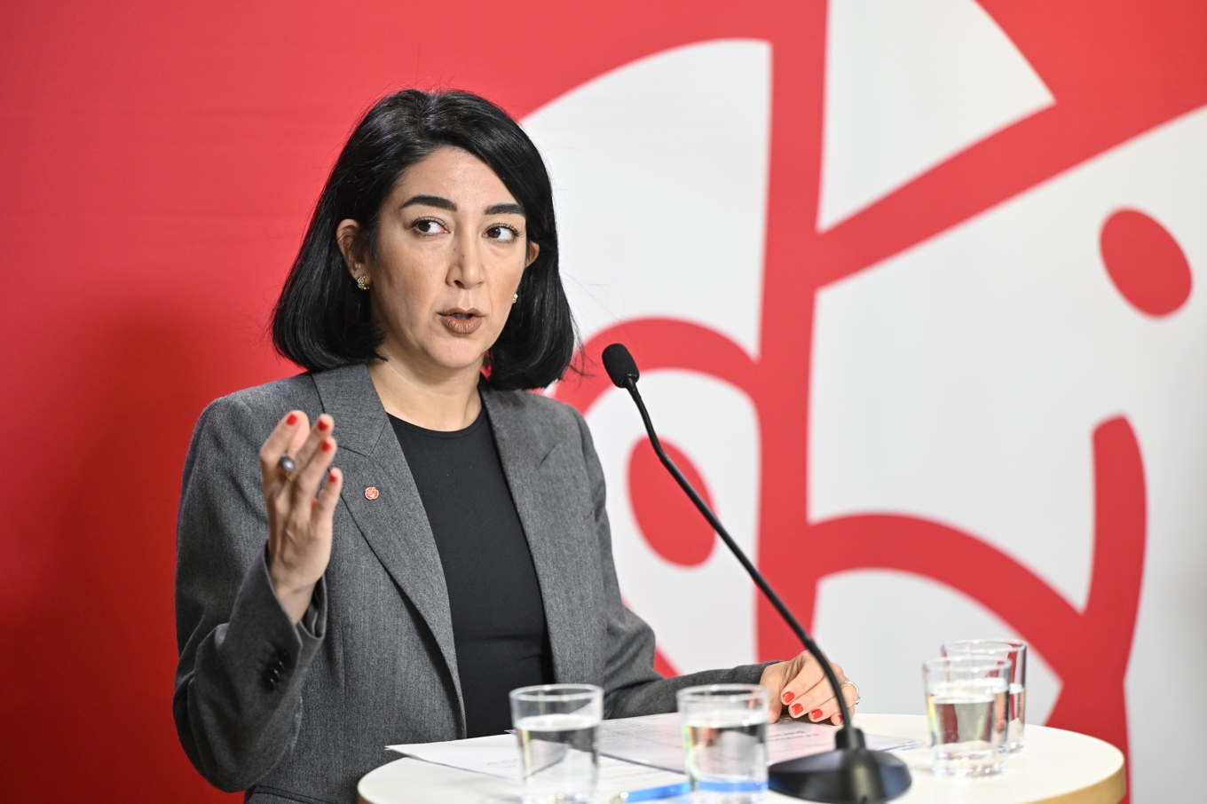 Lawen Redar (S) är kritisk mot projektet. Arkivbild. Foto: Henrik Montgomery/TT