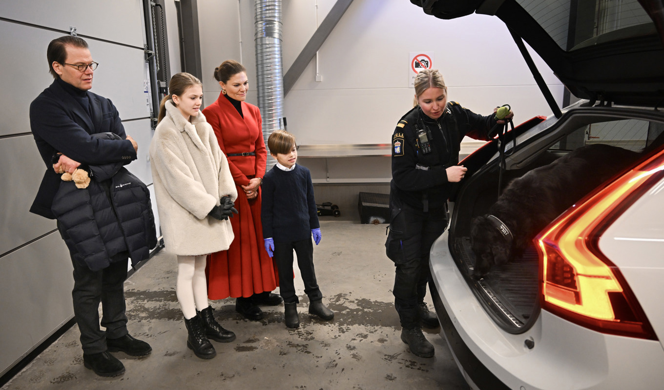 Kronprinsessfamiljen ser på när sökhunden Vittra inspekterar bakluckan på en personbil. Foto: Jonas Ekströmer/TT