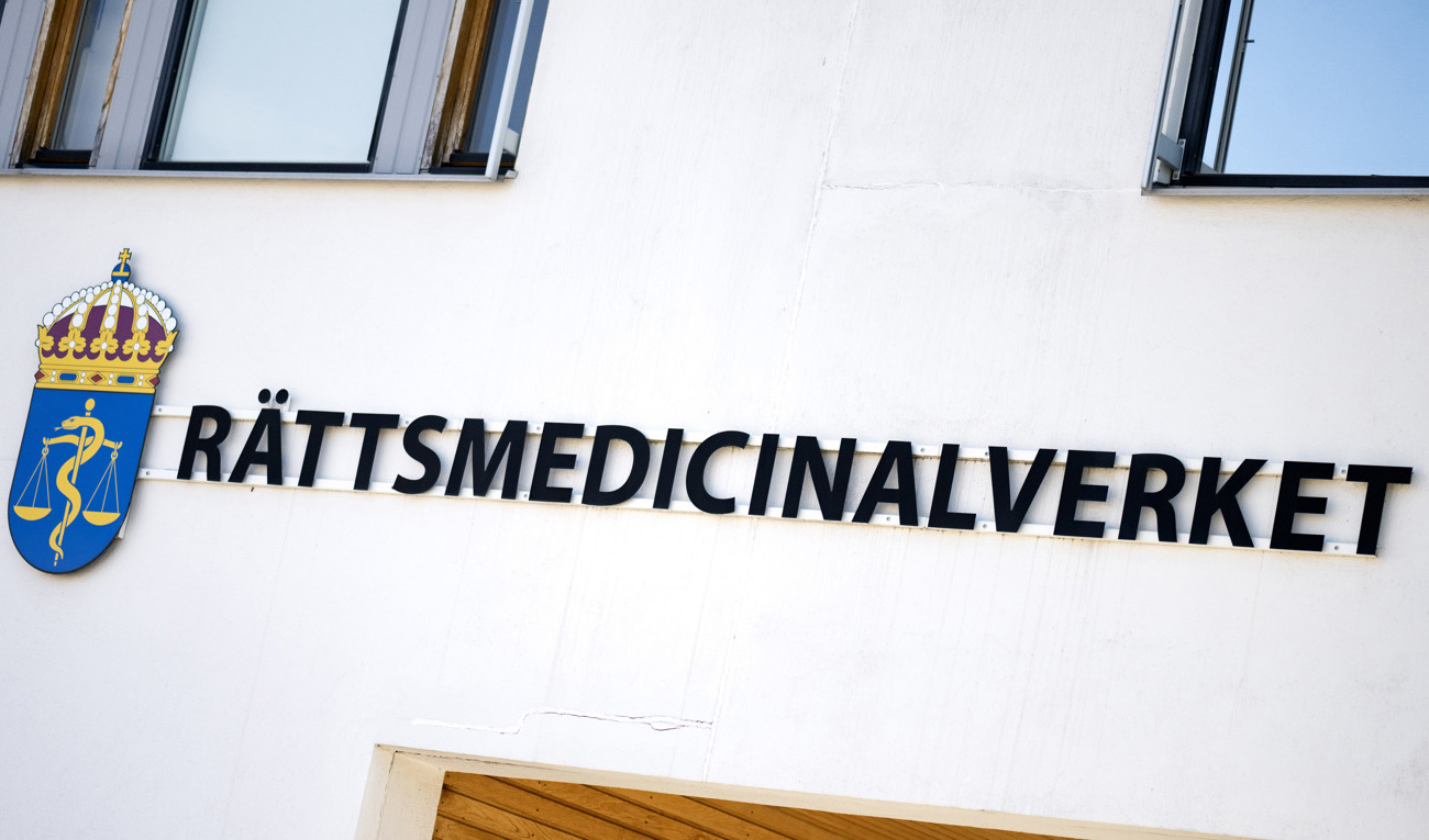 Den mordmisstänkte har genomgått en liten rättspsykiatrisk undersökning. Arkivbild. Foto: Pontus Lundahl/TT