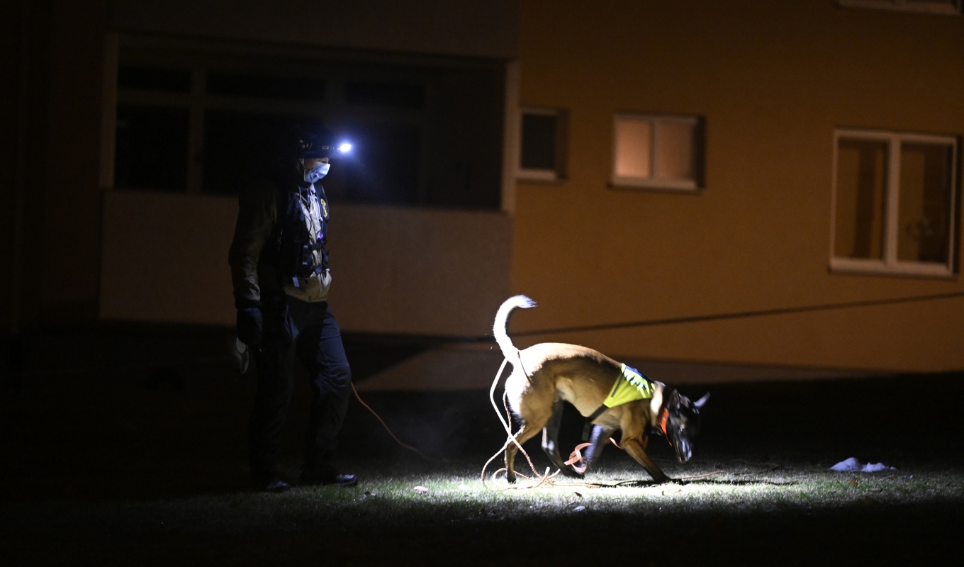 Polisens hundförare säkrar spår efter en dödsskjutning i Södertälje förra året. Arkivbild. Foto: Jessica Gow/TT