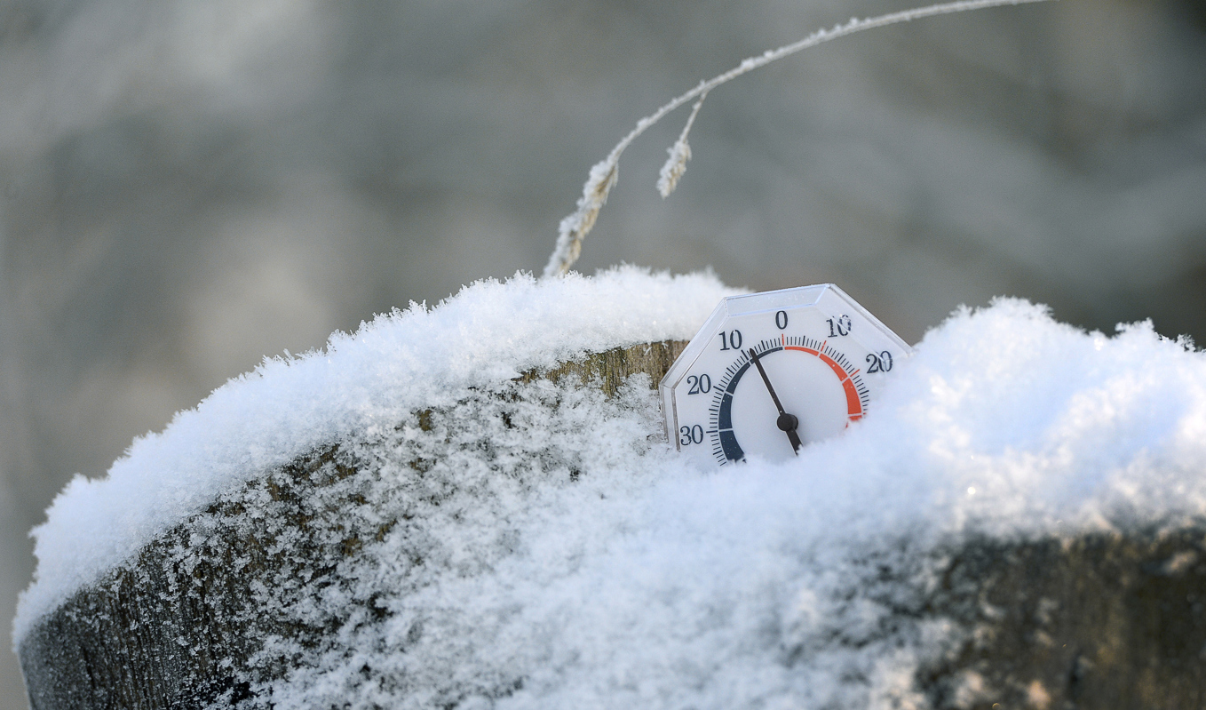 Det kommer varmare väder! Arkivbild. Foto: Anders Wiklund / TT