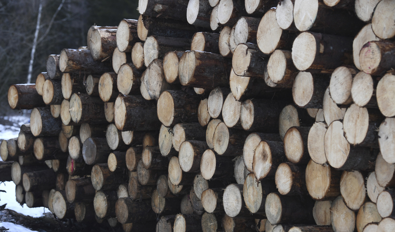 Södra har accepterat företagsboten. Därför blir det ingen rättegång. Arkivbild. Foto: Fredrik Sandberg/TT