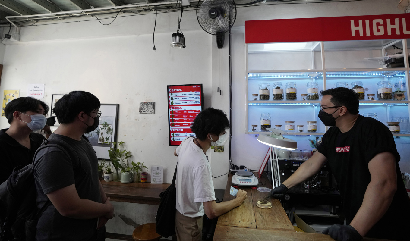Bild från en butik som säljer cannabis i Thailand. Landet avkriminaliserade drogen 2022. Foto: Sakchai Lalit/AP/TT