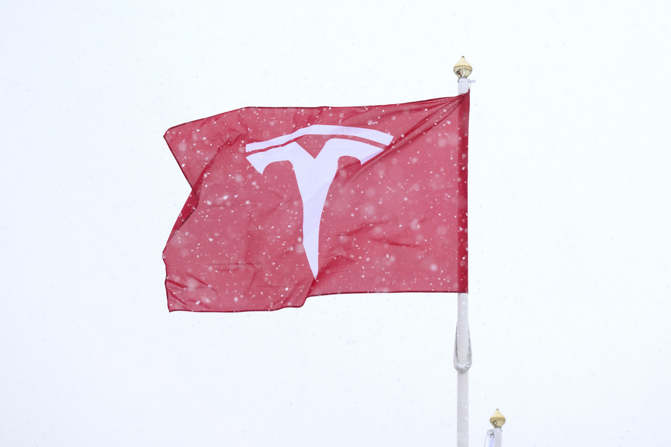 Tesla stoppar produktion i Tyskland. Arkivbild. Foto: Jessica Gow/TT
