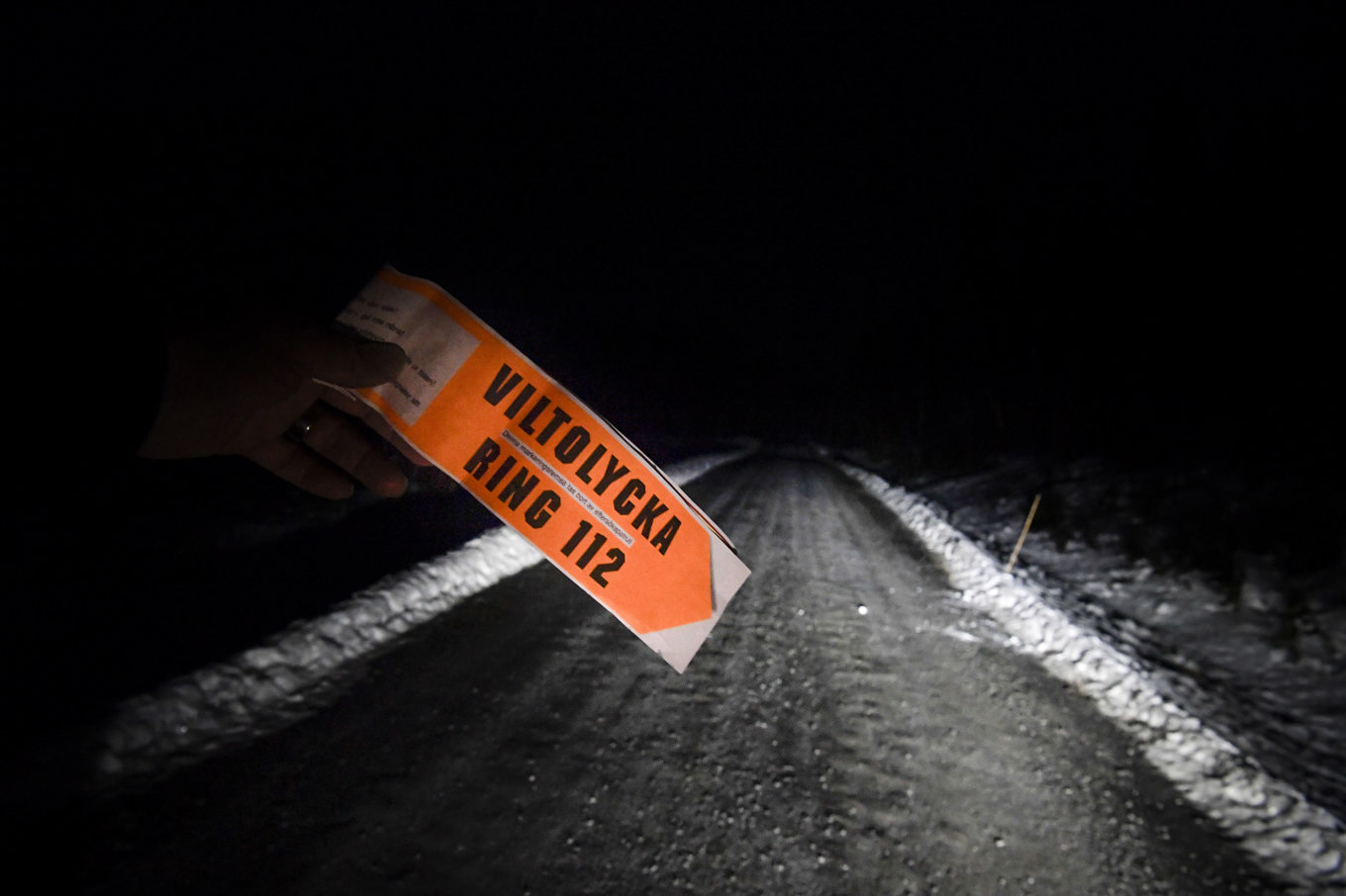 Nästan 70|000 viltolyckor inträffade i Sverige under förra året. Arkivbild. Foto: Pontus Lundahl/TT