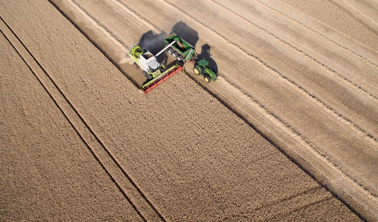 Utredningen om Sveriges livsmedelsberedskap lämnas över till landsbygdsministern på torsdagen. Arkivbild. Foto: Johan Nilsson/TT