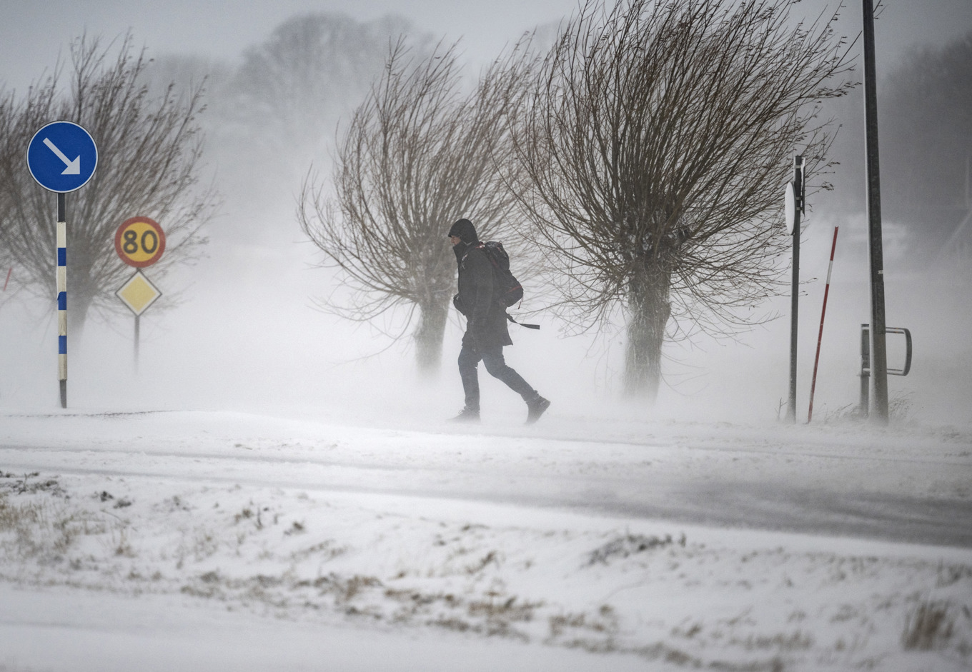 SMHI har flera varningar för vind under fredagen och helgen. Arkivbild. Foto: Johan Nilsson/TT