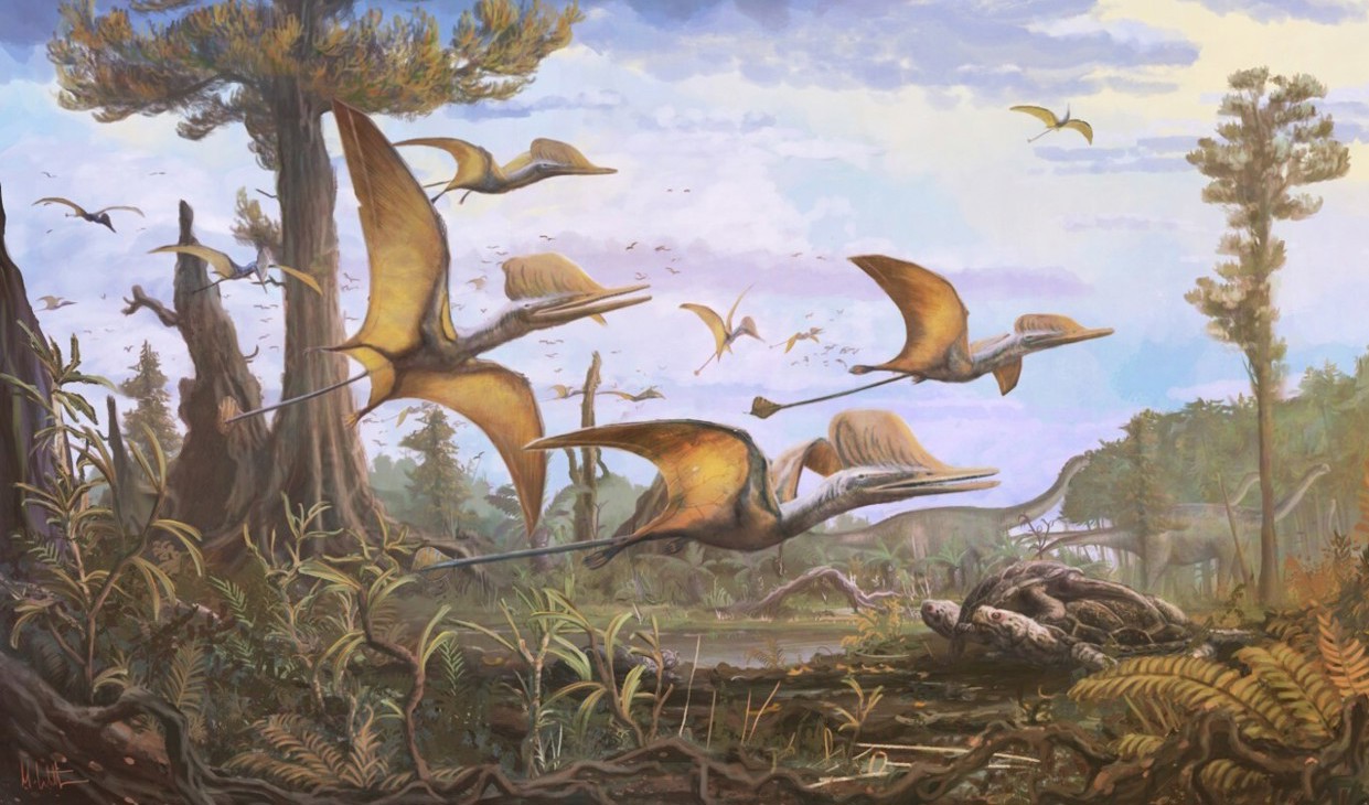 Forskarna tror att ceoptera evansae kan ha bott på Skye och inte bara hade vägarna förbi. Foto: Illustration: NHM&Witton/Handout