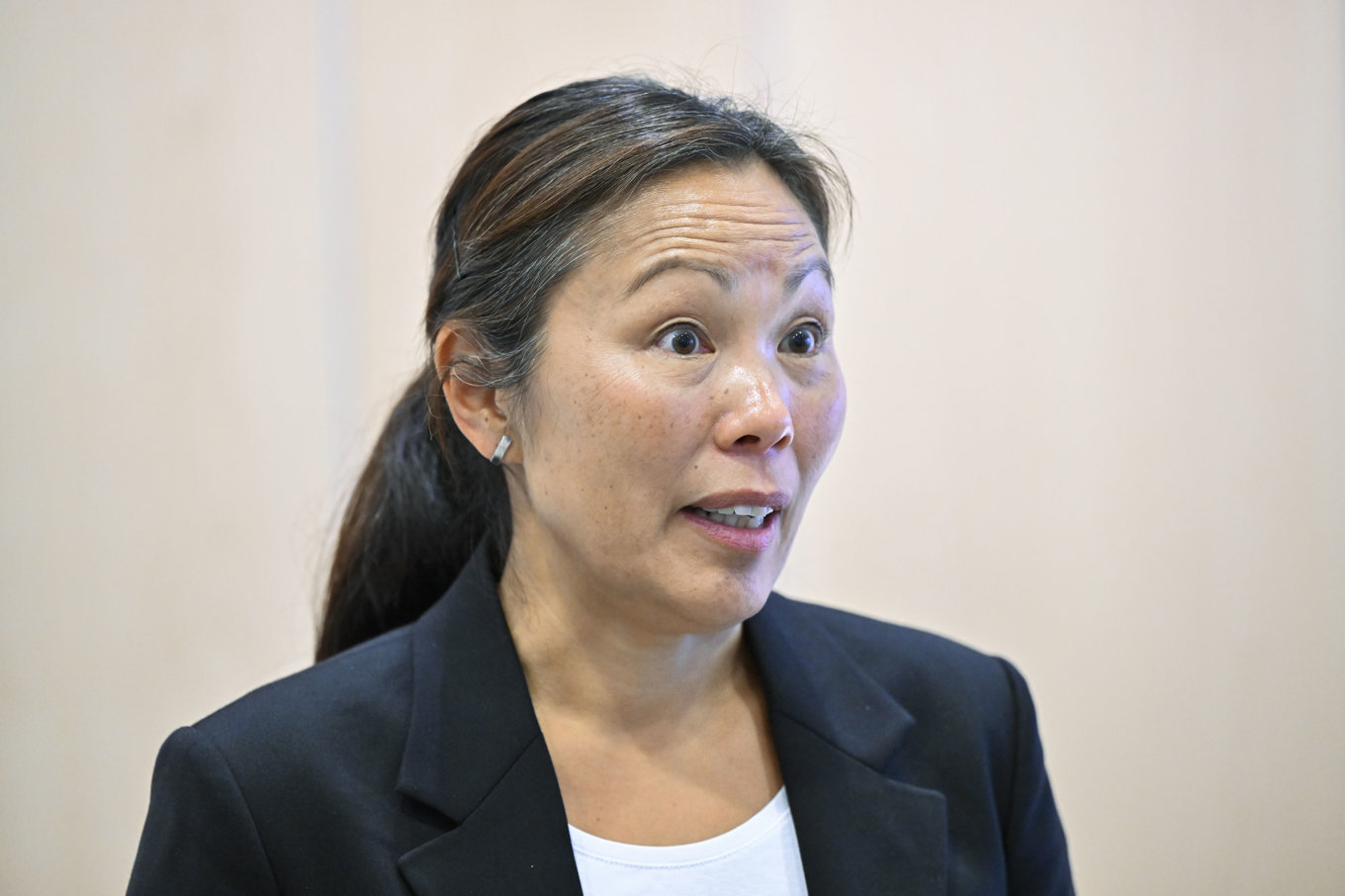 Ahn-Za Hagström, chef för NCT. Arkivbild. Foto: Henrik Montgomery/TT