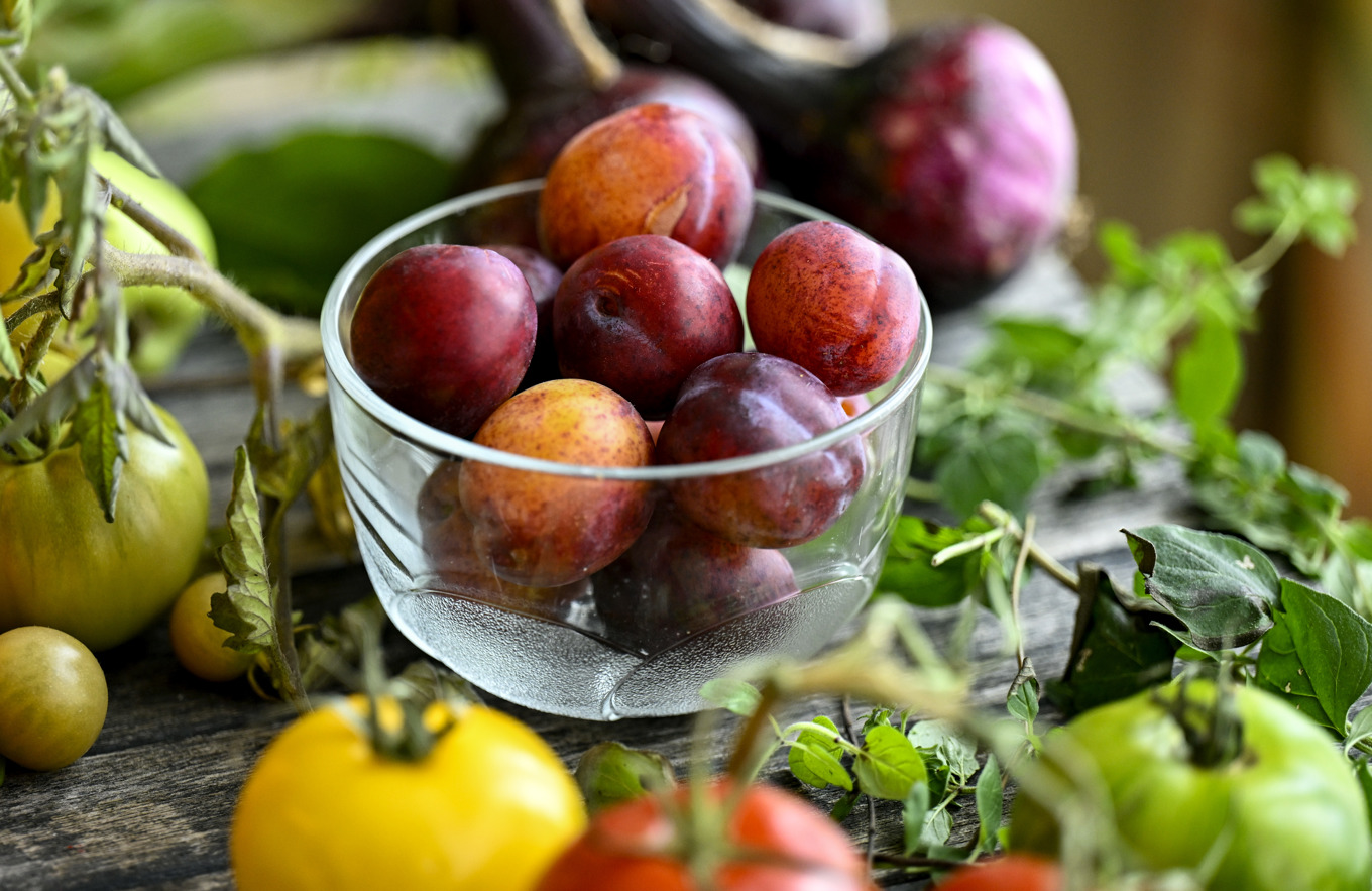 Frukt och grönt har blivit dyrare och försäljningen minskade under 2023. Arkivbild. Foto: Johan Nilsson/TT