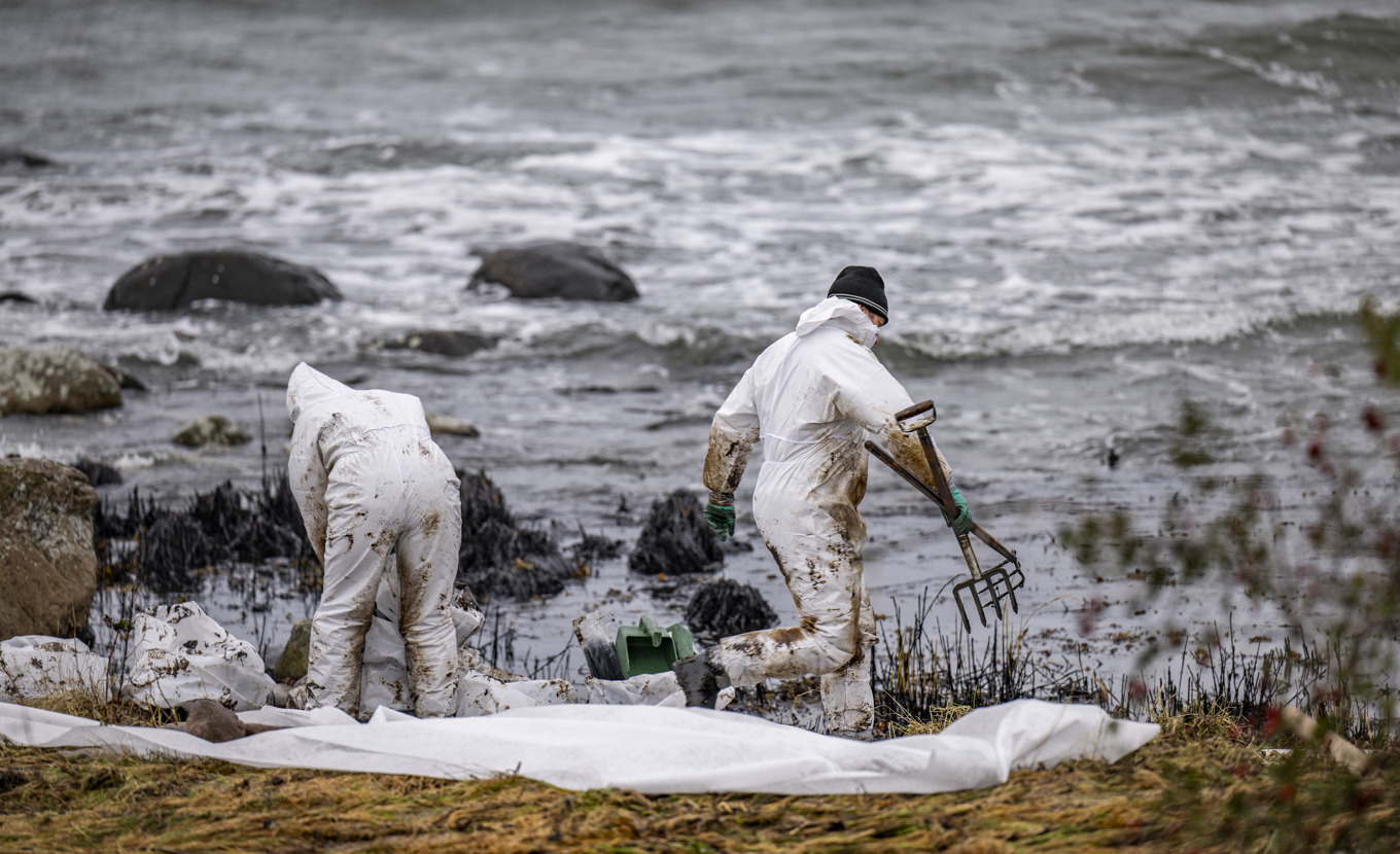 Personal från Kustbevakningen och Sölvesborgs kommun arbetar med sanering efter oljeläckaget från passagerarfartyget Marco Polo, som i oktober gick på grund i Pukaviksbukten. Arkivbild. Foto: Johan Nilsson/TT