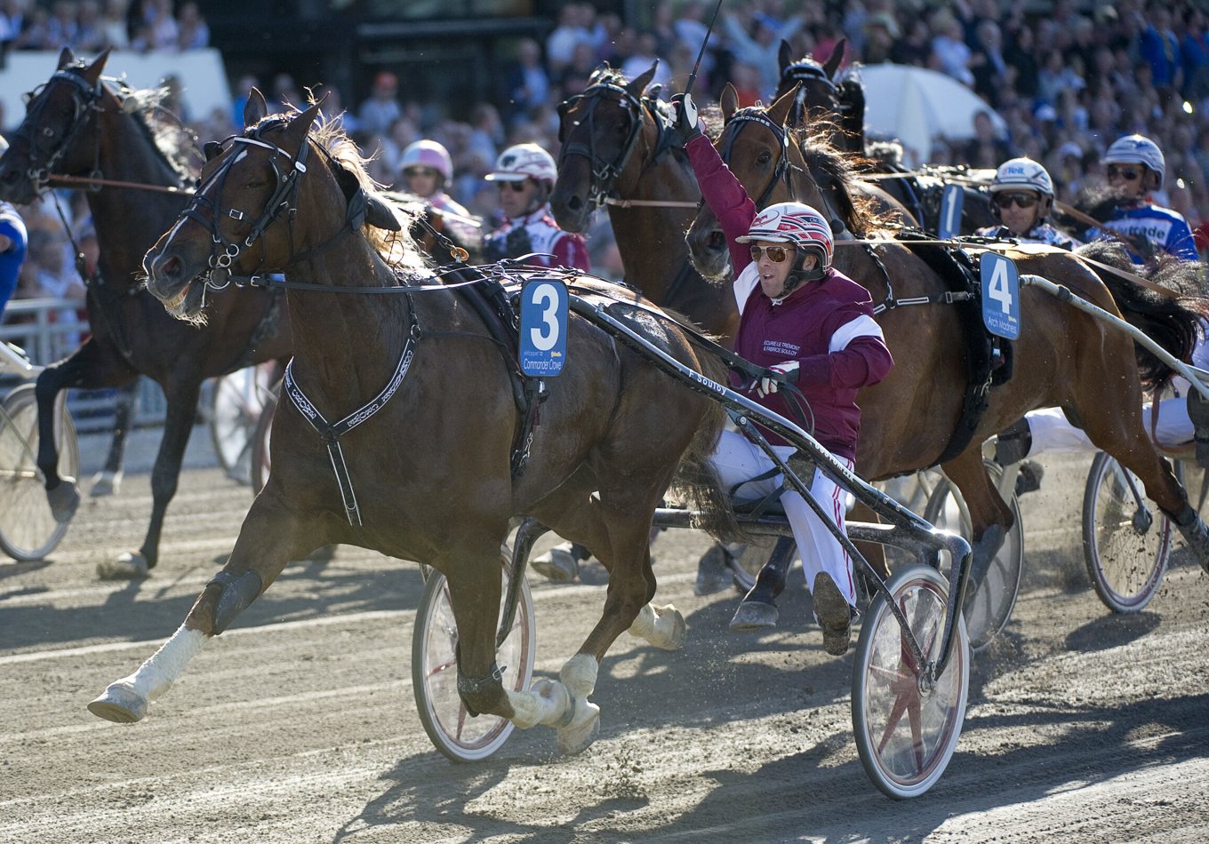 Elitloppsfinal på Solvalla 2012. Commander Crowe vann. Arkivbild. Foto: MAJA SUSLIN / TT
