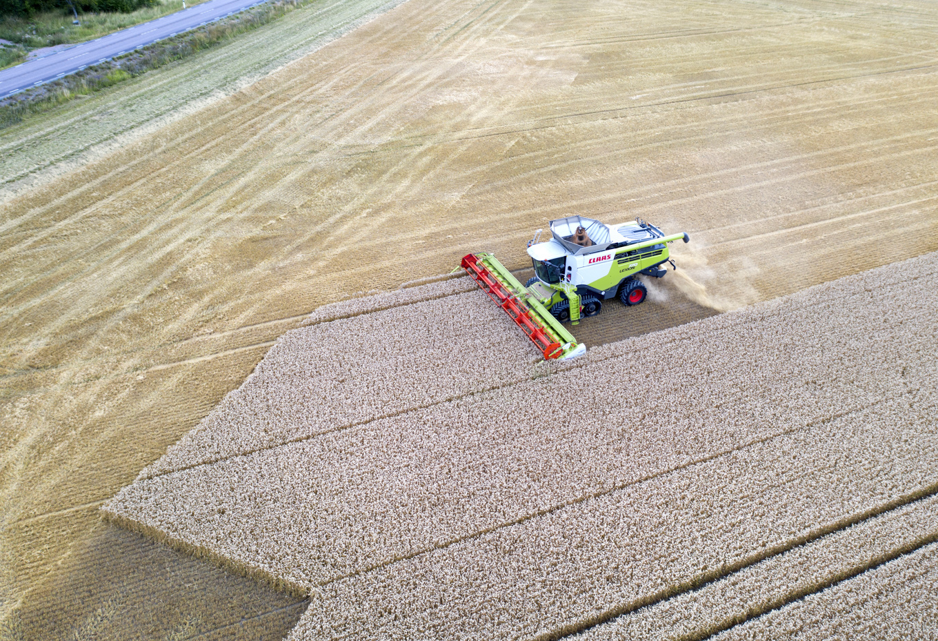 Lantbrukskooperativet Lantmännen gör en stor investering i en ny spannmålsanläggning. Arkivbild. Foto: Fredrik Sandberg/TT