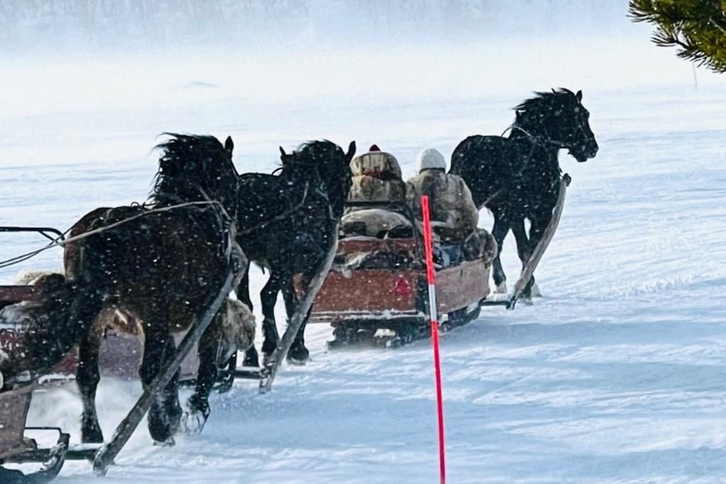 Med häst och släde går färden från Klövsjö i Jämtland till Röros marknad i Norge. Foto: Föreningen Forbonden Klövsjö