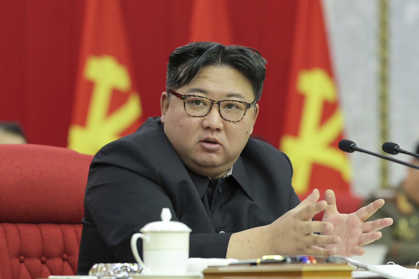 Nordkorea uppger att Japans premiärminister Fumio Kishida vill träffa Kim Jong Un. Arkivbild. Foto: Korean Central News Agency/Korea News Service via AP/TT