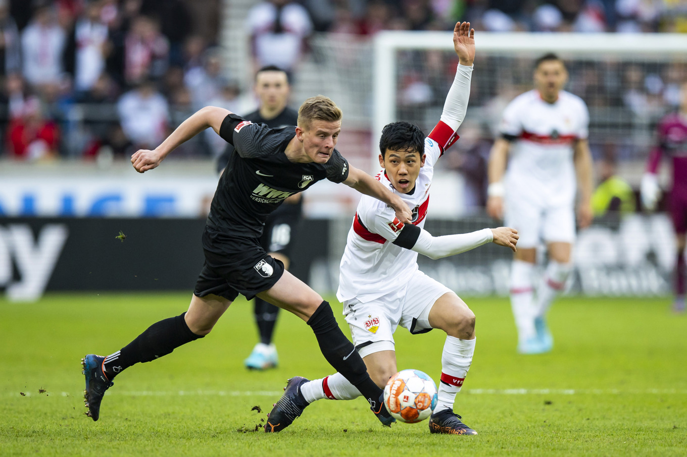 Hammarby värvar Frederik Winther från Bundesligaklubben Augsburg. Arkivbild. Foto: Tom Weller/AP/TT