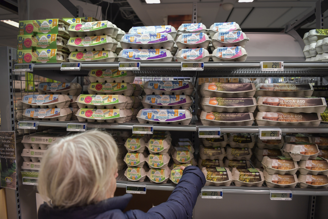 Många norrmän passar på att handla ägg i Sverige, eftersom det råder äggbrist i grannlandet. Arkivbild. Foto: Anders Wiklund/TT