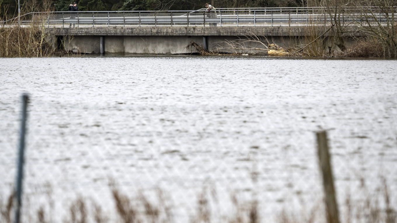 Vattenflödena som SMHI uppmätt uppstår i genomsnitt vart 25:e till 50:e år. Arkivbild. Foto: Johan Nilsson/TT