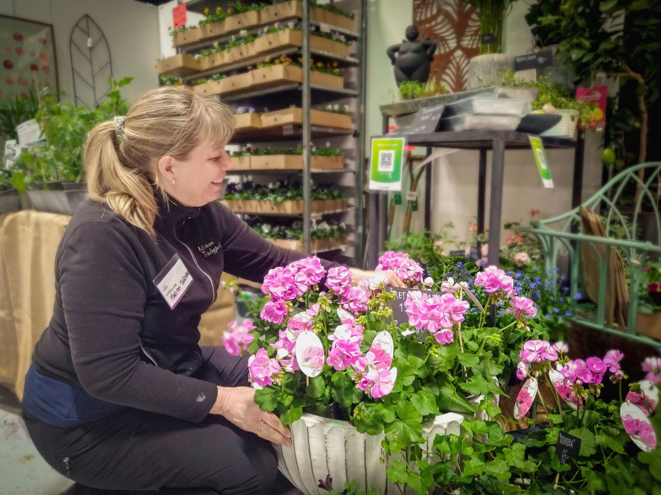 De rosa pelargonerna hos Maritas Trädgård fick många besökare att stanna till. Foto: Eva Sagerfors