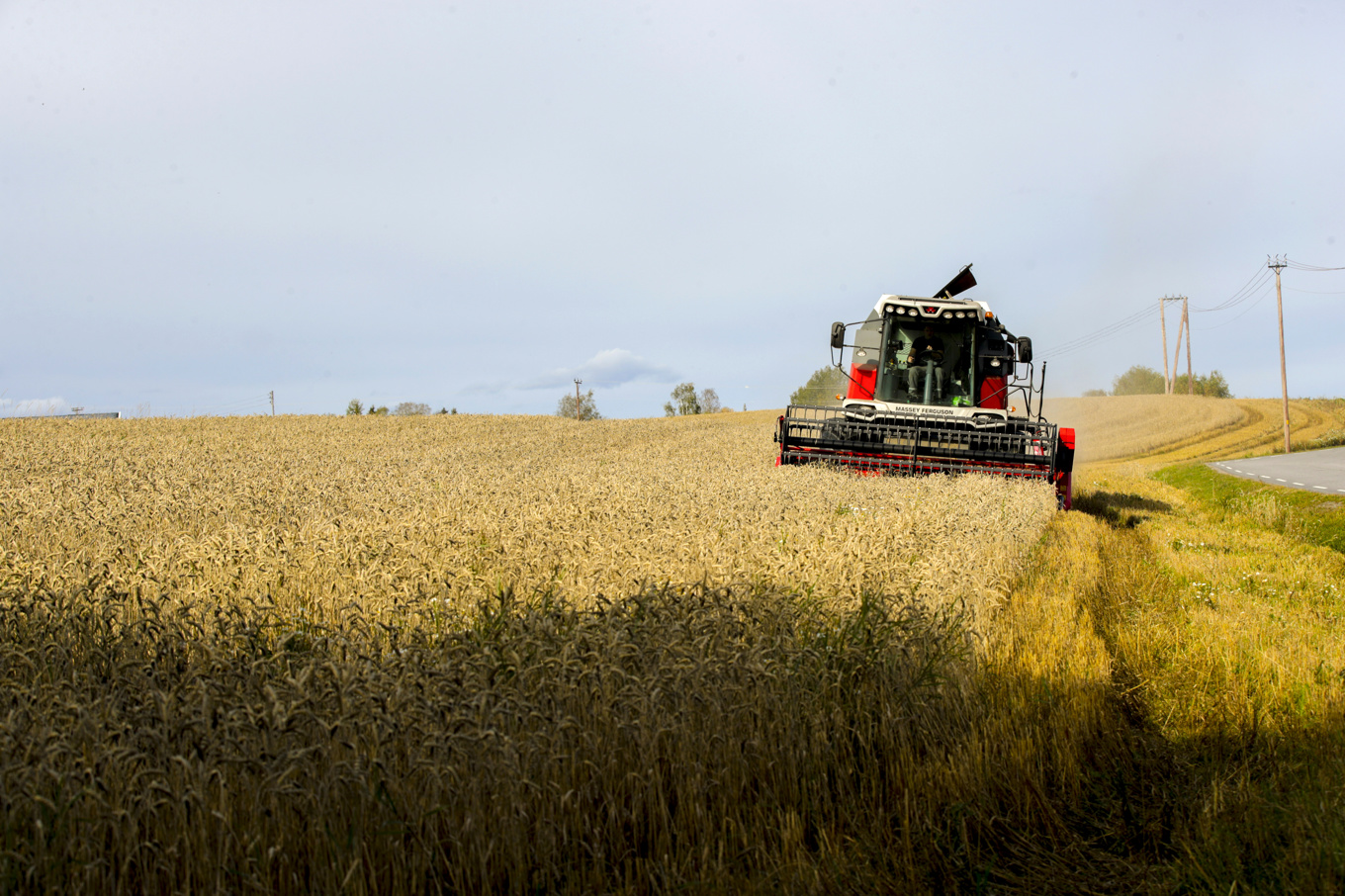 Det behövs en "lantbrukarlumpen" enligt Centerpartiet. Arkivbild. Foto: Vidar Ruud/NTB/TT