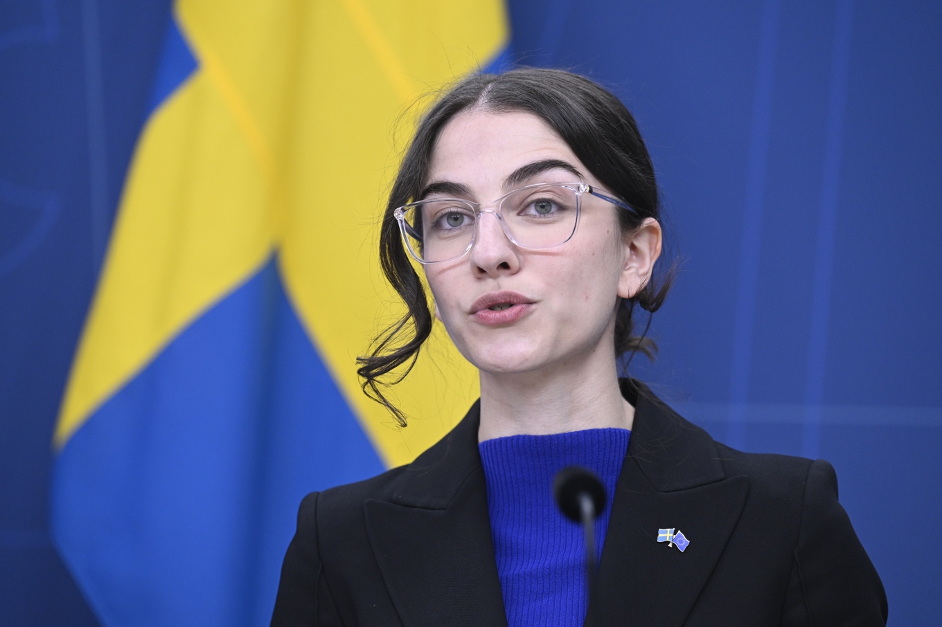 Klimat- och miljöminister Romina Pourmokhtari (L). Foto: Jessica Gow/TT