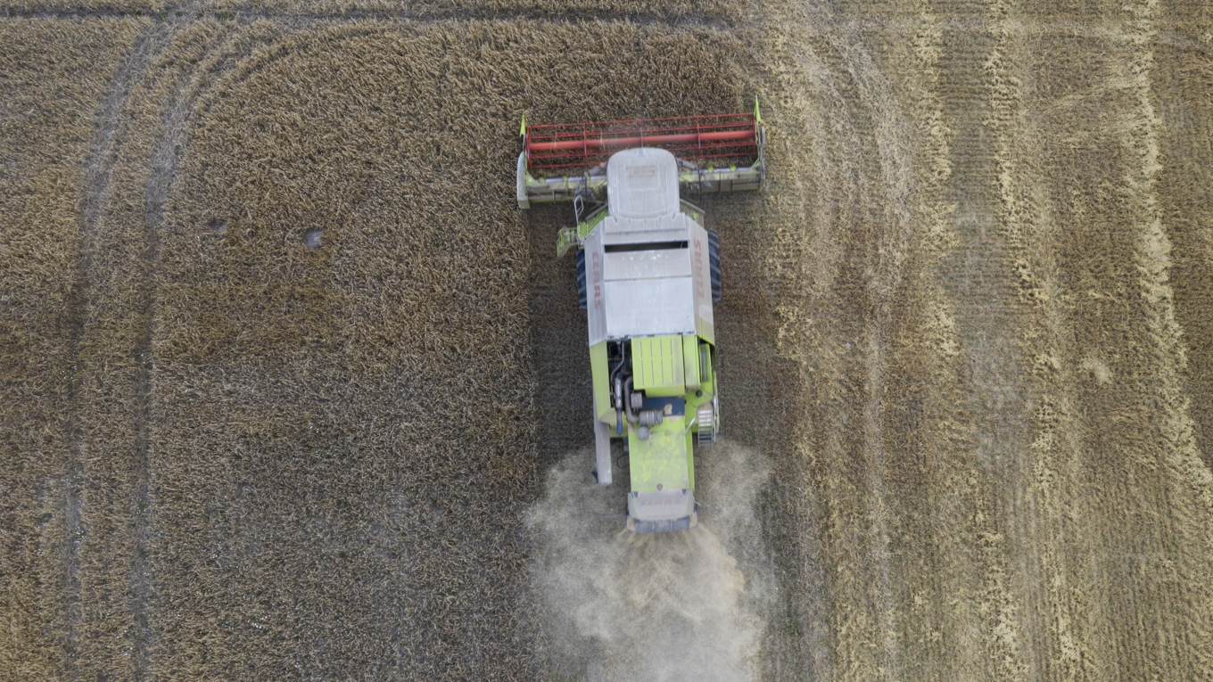 Torka och översvämningar gav dåliga skördar under 2023. Arkivbild. Foto: Fredrik Sandberg/TT