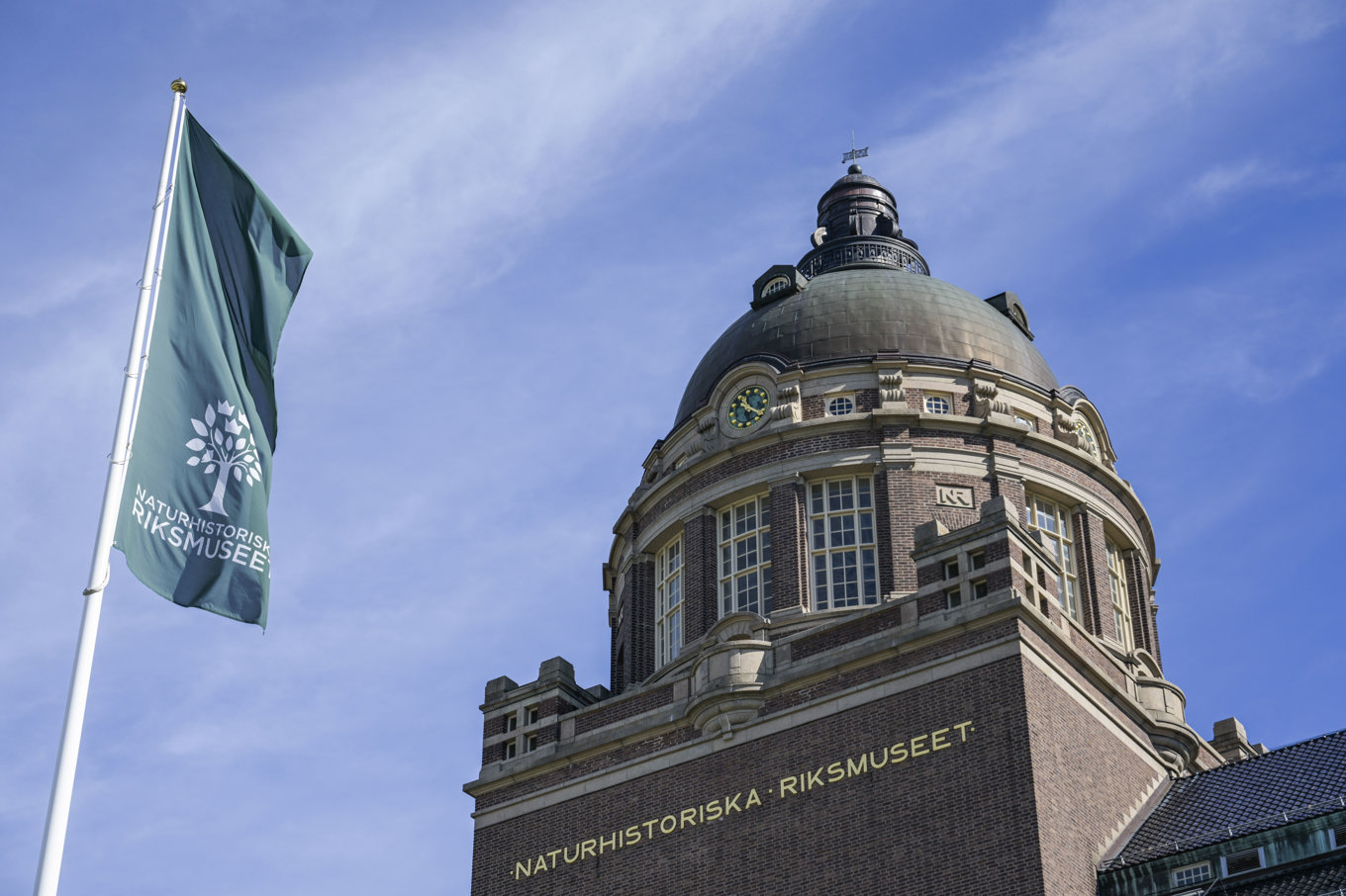 Naturhistoriska riksmuseet i Stockholm kompenseras för inkomstbortfall. Arkivbild. Foto: Janerik Henriksson/TT