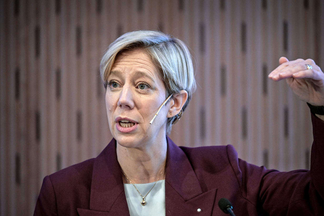Första vice riksbankschef Anna Breman. Arkivbild Foto: Anders Wiklund/TT
