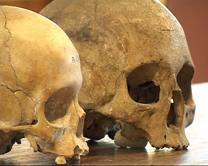 Karolinska institutet ska återlämna kvarlevor till Finland. Arkivbild. Foto: Fritz Schibli/TT