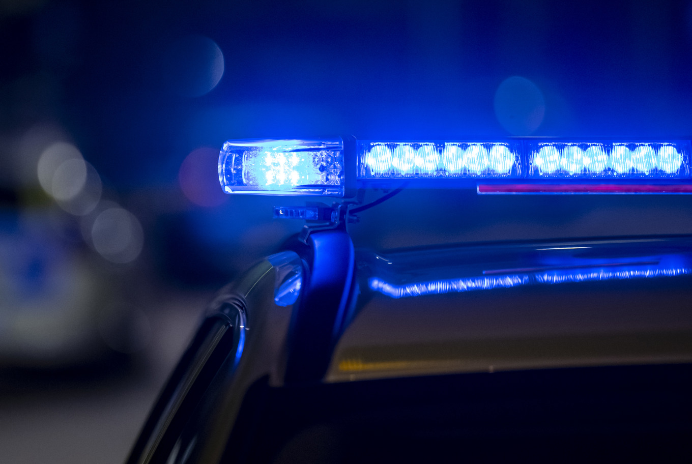 Två poliser fördes till sjukhus efter en trafikolycka med en älg. Foto: Johan Nilsson/TT