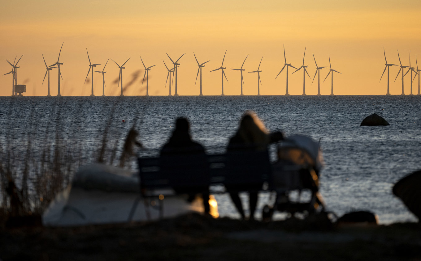 Sveriges största havsbaserade vindkraftpark – Lillgrund – söder om Öresundsbron. Arkivbild. Foto: Johan Nilsson/TT