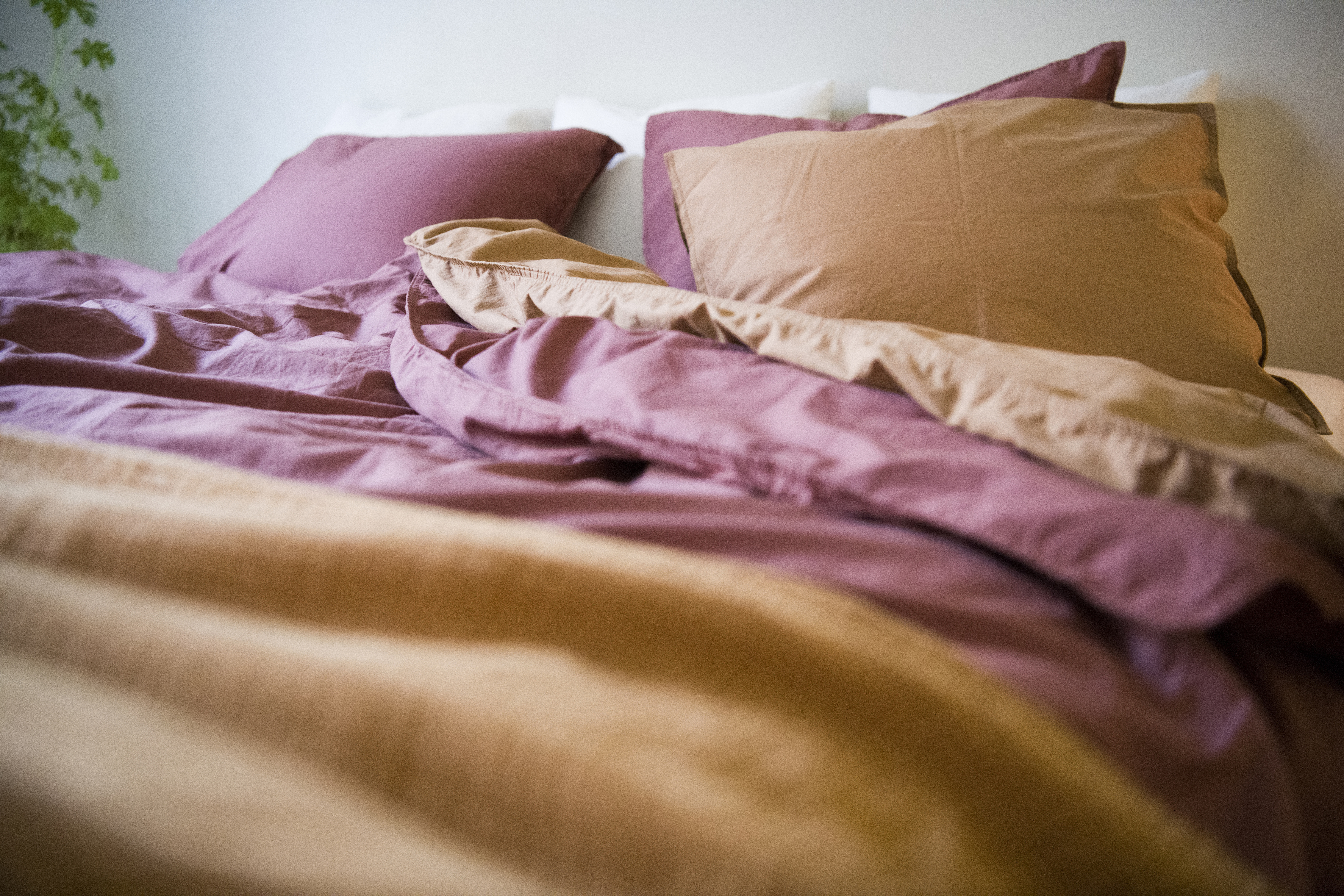 En 25-årig man, anställd inom hemtjänsten, åtalas för att ha våldtagit en kvinnlig brukare. Arkivbild. Foto: Henrik Montgomery/TT